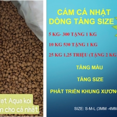 AQUA PHÁT TRIỂN KHUNG XƯƠNG