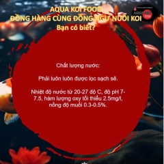 Aqua Koi Food – Lựa chọn dinh dưỡng tuyệt vời giúp cá Koi Nhật Bản phát triển toàn diện!